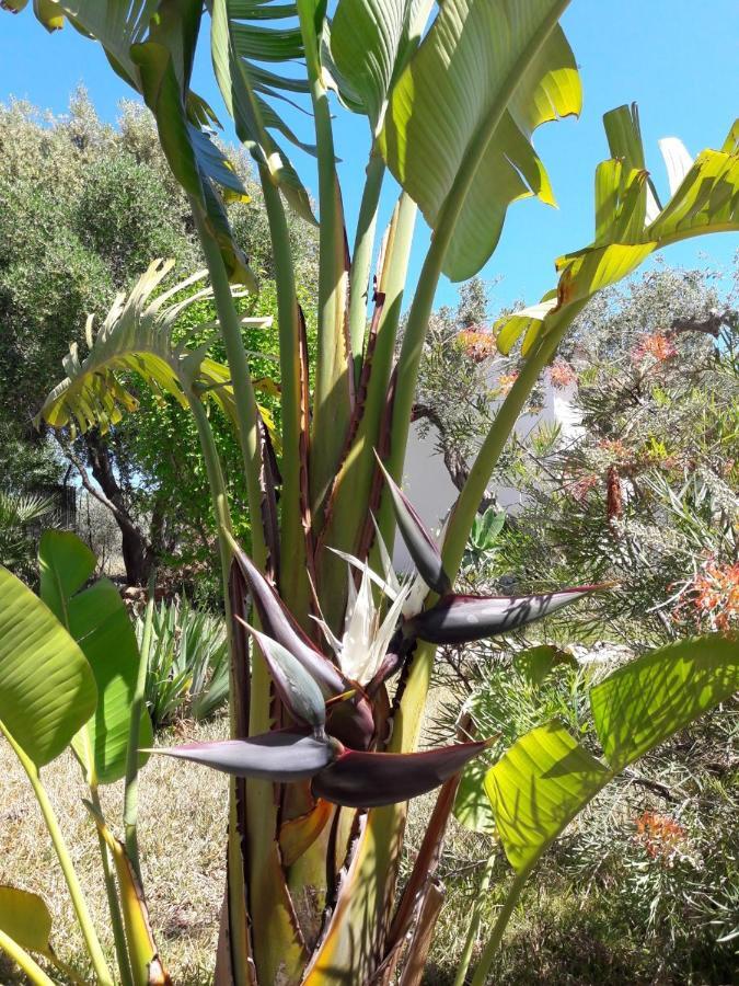 Finca Roca Vista, Adults Only Alhaurin el Grande Bagian luar foto